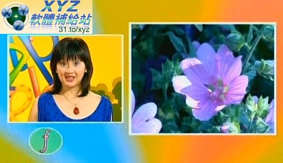 BBC 出品 國際主流的英語教學法 Fun with Phonics 拼音英語 01-44集(完) 英語發音 幼兒教學版(適用任何家用DVD播放機)(2DVD)