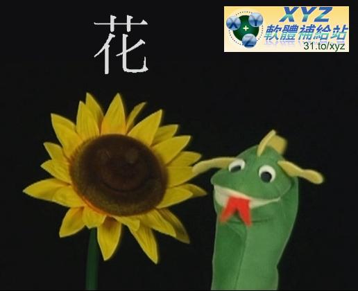 小小愛因斯坦 看世界 國語/英語/韓語發音 英文/繁體中文/韓文語言字幕版(幼兒教學)(適用任何家用DVD播放機)(2DVD)