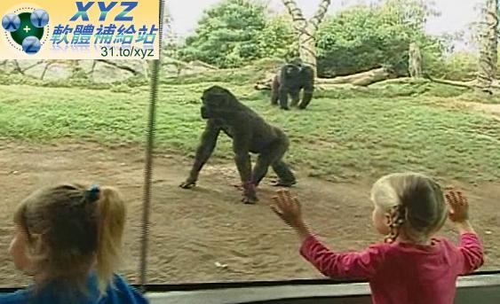 天才寶貝熊 Baby Genius 音樂成就不同 聖地亞哥動物園之旅 A Trip to the San Diego Zoo 01-04集(完)(幼兒教學)(適用任何家用DVD播放機)(DVD版)